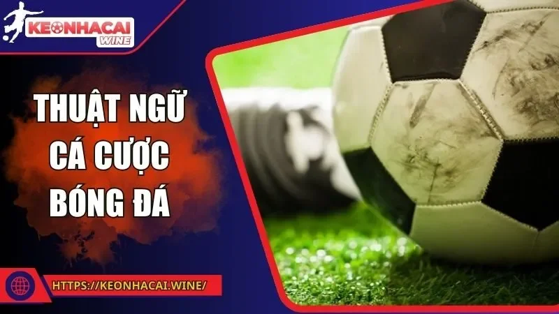 Thuật Ngữ Cá Cược Bóng Đá - Mở Kho Tàng Kiến Thức Thể Thao